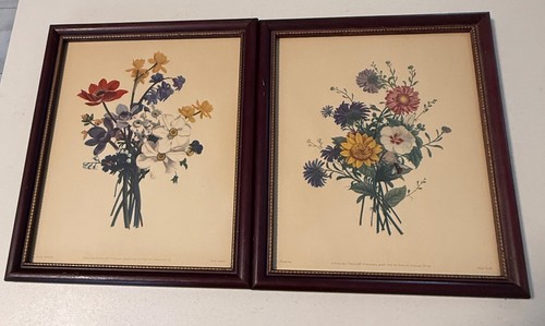 French botanical prints pair - french,