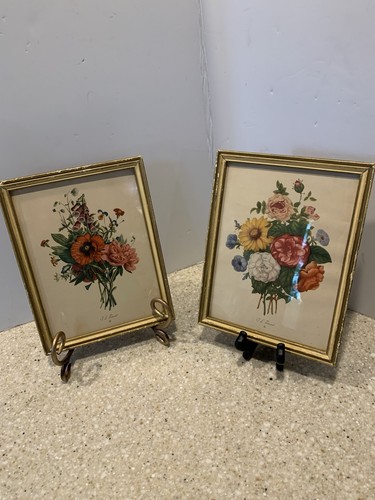 Vintage prevost botanical - vintage, l
