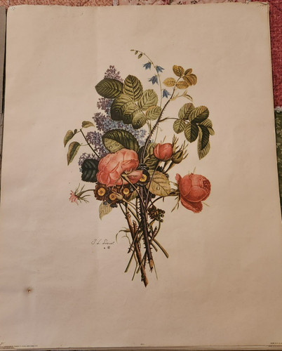 Jean louis prevost bouquets - jean,